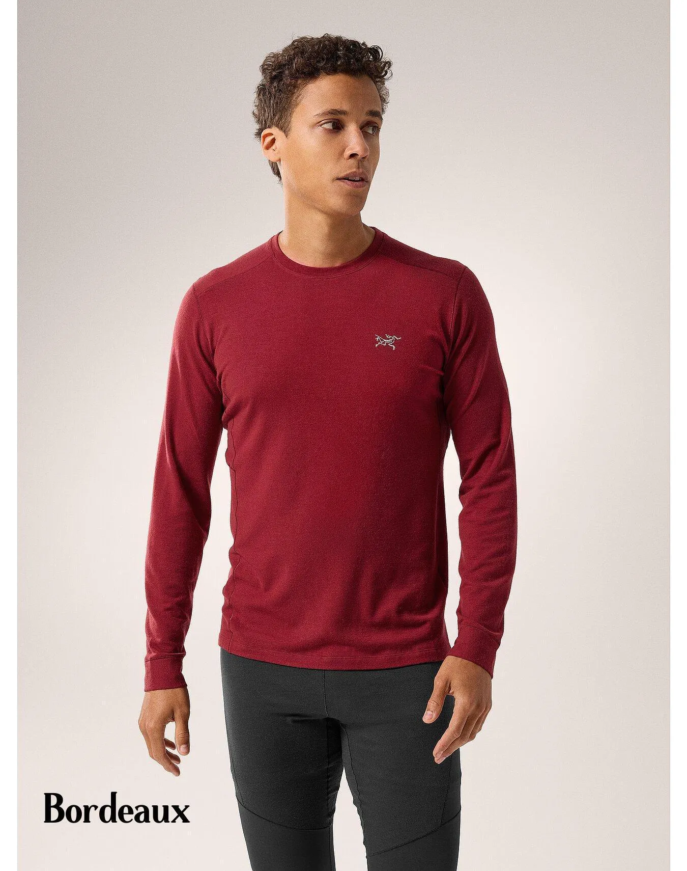 ARC'TERYX  |Plain Logo Outdoor T-Shirts