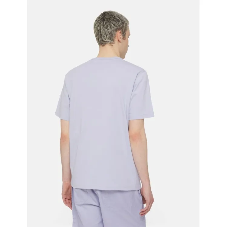 Dickies Aitkin Tee T-Shirt Uomo Maniche Corte Viola